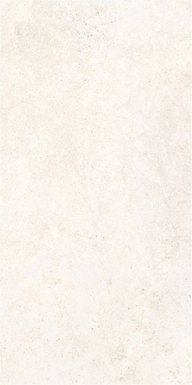 OL Limestone Bianco Matte 24 x 48